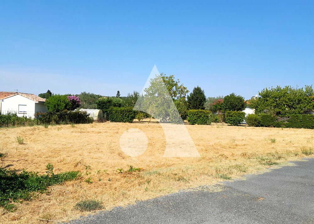 Vente Terrain Terrain 886 m² LESCURE D'ALBIGEOIS Lescure d albigeois