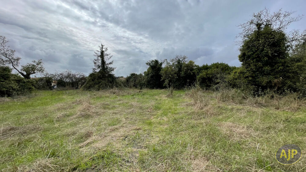 Vente Terrain Terrain à bâtir de 631m² à Nalliers Nalliers
