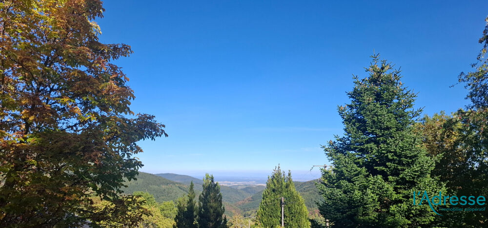 Vente Terrain Terrain Labaroche 2366 m2 Labaroche
