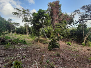  Terrain � vendre 2634 m�