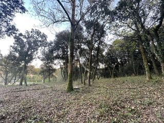  Terrain � vendre 800 m�