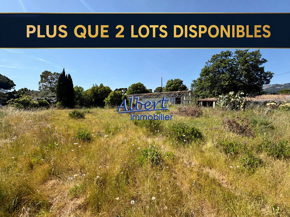 Vente Terrain Terrain Ollioules Ollioules