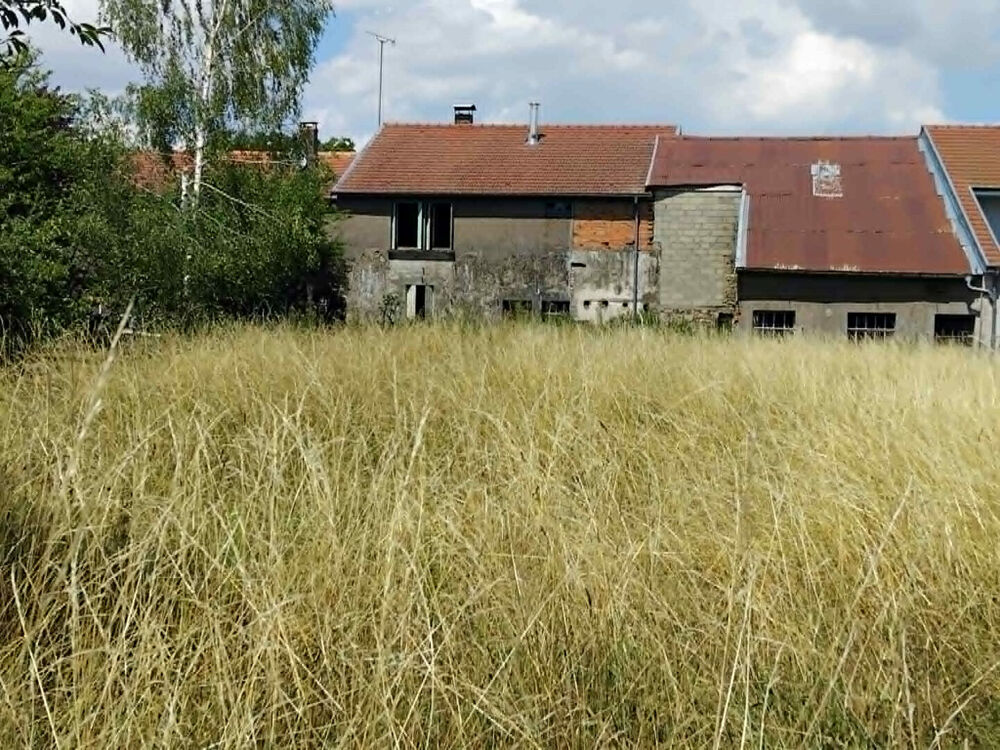 Vente Maison Maison à rénover à Parnoy en Bassigny - 3 pièces, 91 m² sur 1090 m² de terrain Parnot