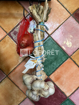  Immeuble � vendre 10 pi�ces 250 m�