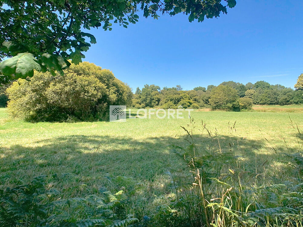 Vente Terrain Terrain Mohon 8921 m2 Mohon