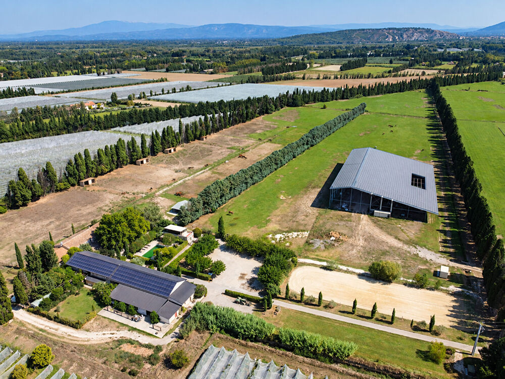 Vente Maison Domaine d'exception de 11,5 hectares .Un futur resort équestre au coeur des Alpilles Saint andiol