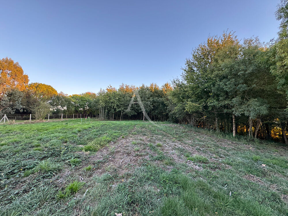 Vente Terrain Montans. Terrain de  624,53 m2 constructible . Montans