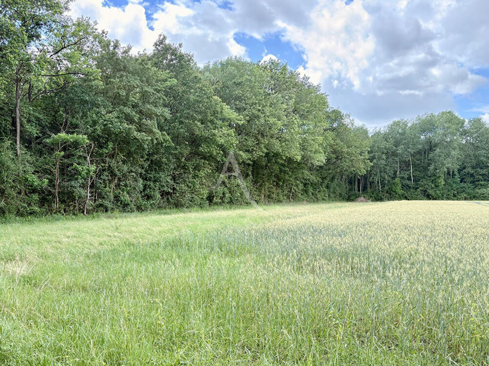 Vente Terrain Domaine forestier Le Plessis Grammoire Le plessis grammoire