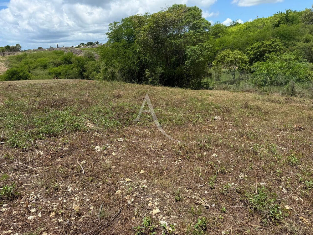 Vente Terrain 779 m² - Vue 3