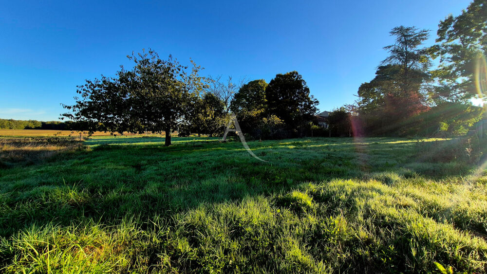 Vente Terrain Terrain constructible à vendre 