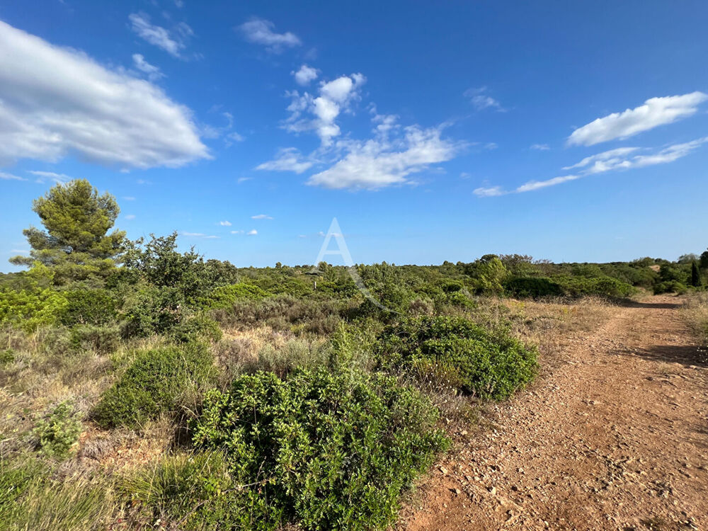 Vente Terrain Terrain Juvignac 5029 m2 Juvignac