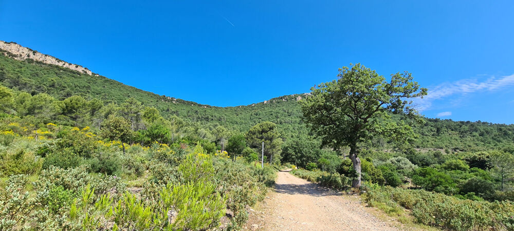 Vente Terrain DOMAINE de 238 hectares avec ancienne bergerie et hangar Cuers