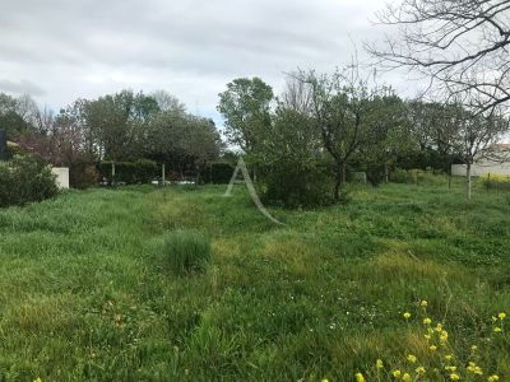 Vente Terrain Terrain Salles sur mer