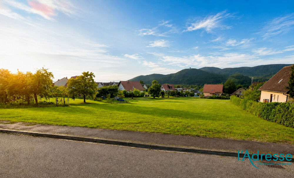 Vente Terrain Terrain Zimmerbach  3334 m2 Zimmerbach