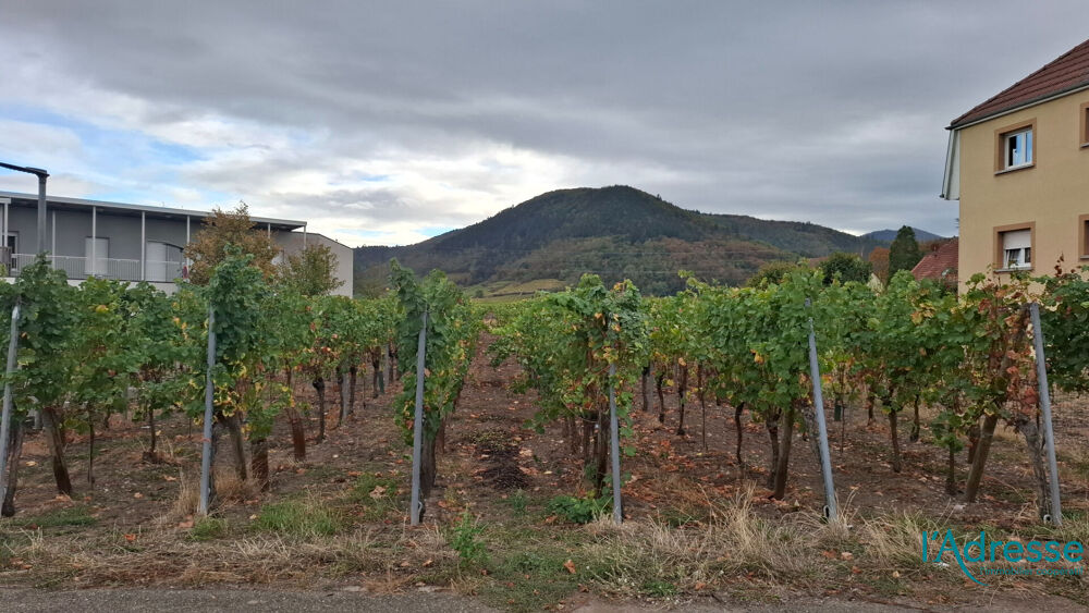 Vente Terrain Terrain Turckheim 2670 m2 Turckheim