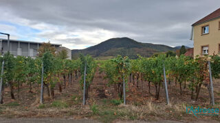 Vente Terrain Terrain Turckheim 2670 m2 Turckheim