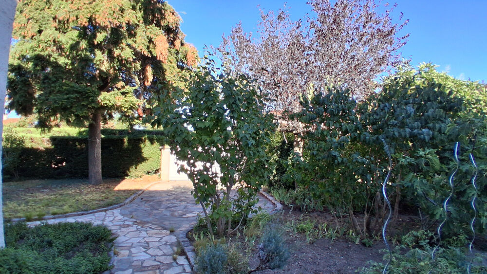 Vente Maison Maison individuelle Saint Marcellin En Forez Saint marcellin en forez