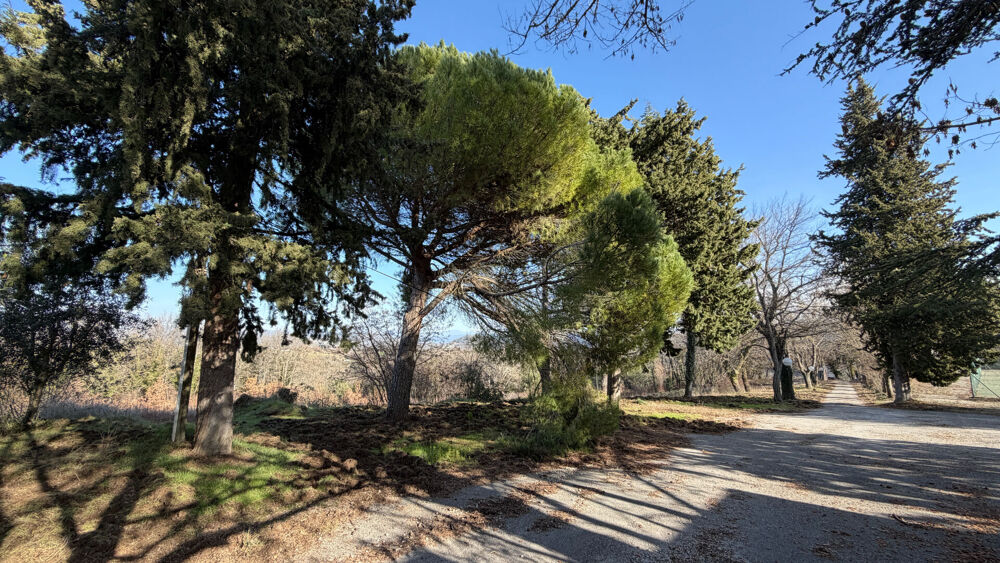 à vendre  Maison Niozelles (04300)