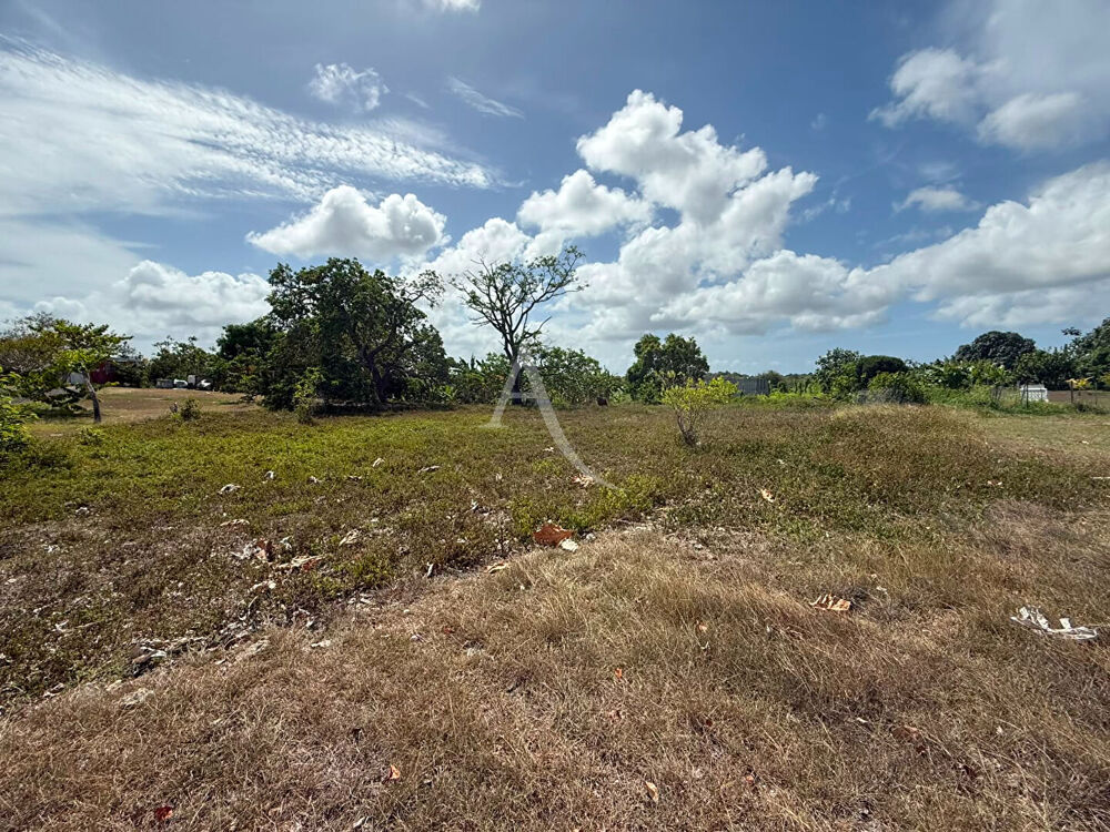 Vente Terrain Terrain plat de 1 086 m² au Helleux, Sainte-Anne Sainte anne