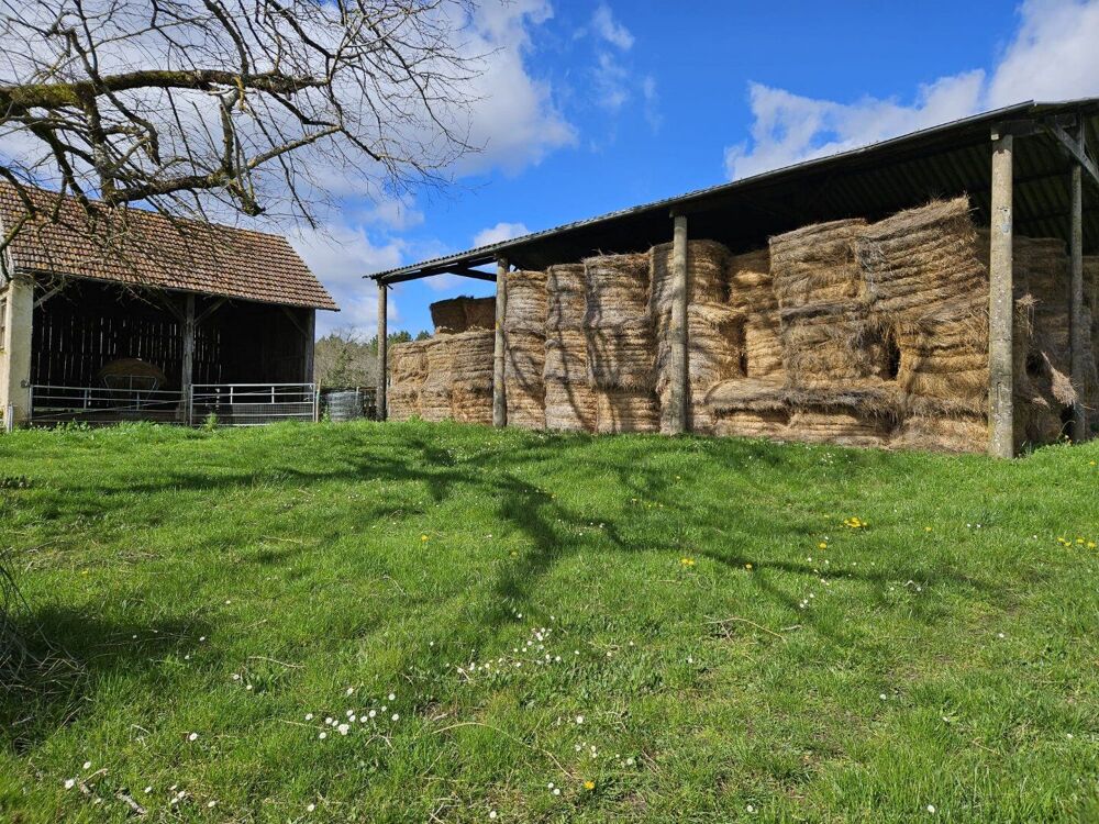 Vente Maison Corps de ferme en pierre - Un coin de paradis pour les amoureux de nature et de liberté Saint geyrac