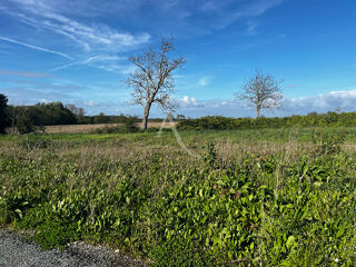  Terrain à vendre 563 m²