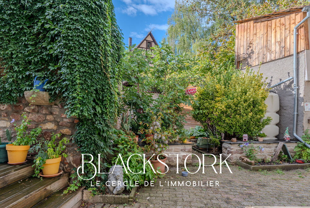 Maison de caractère avec piscine et duplex complémentaire - Wasselonne