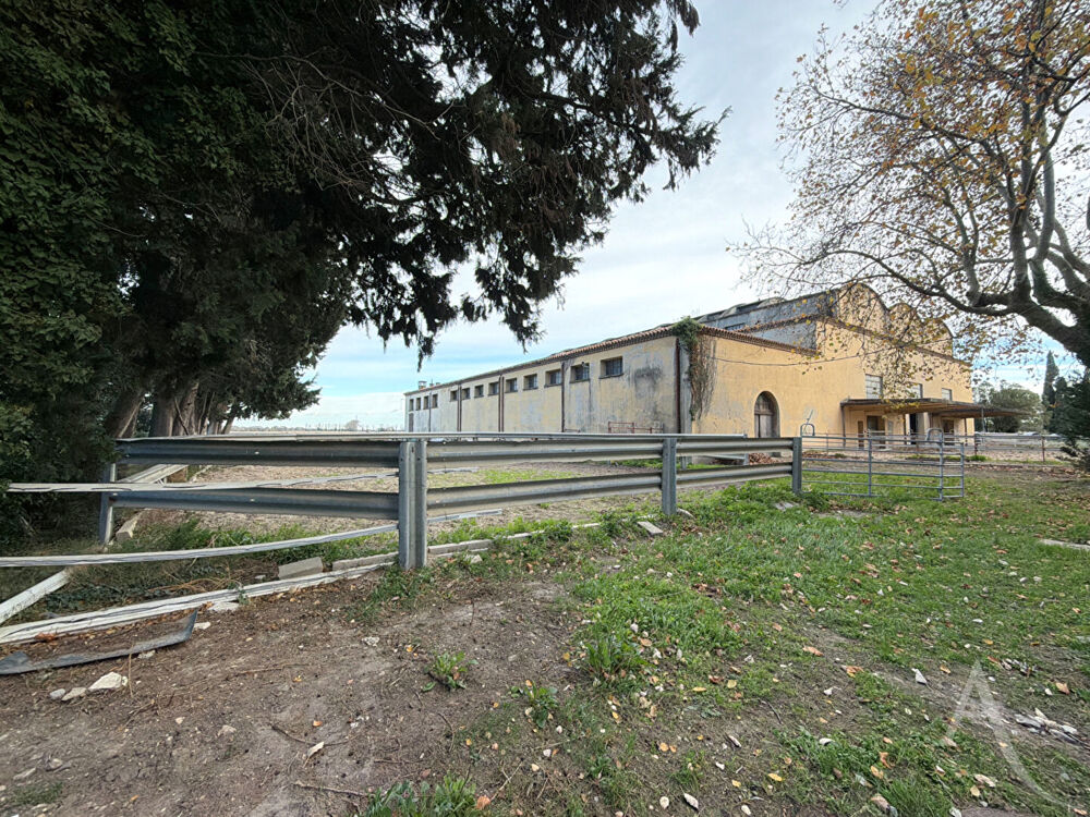 � vendre  Villa Arles (13200)