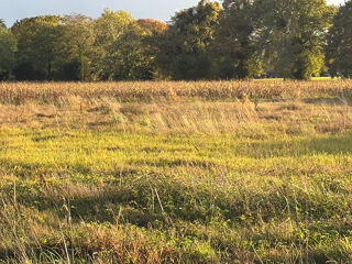  Terrain � vendre 1728 m�