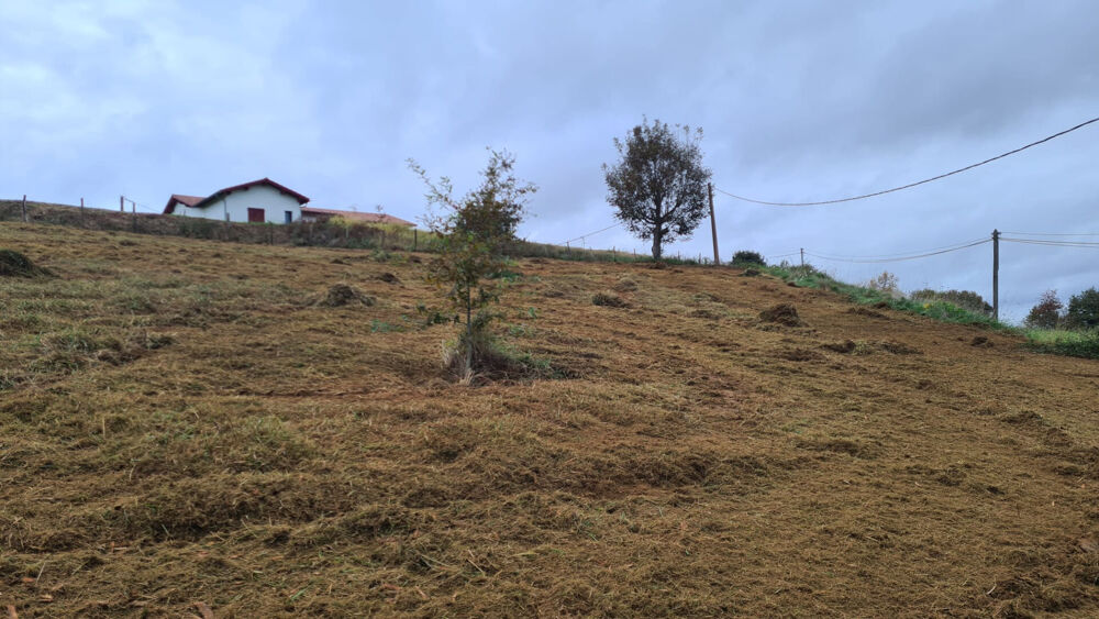Vente Terrain EXCLUSIVITÉ PAYS BASQUE - Grand Terrain Constructible à Guiche (3000 m²) Guiche