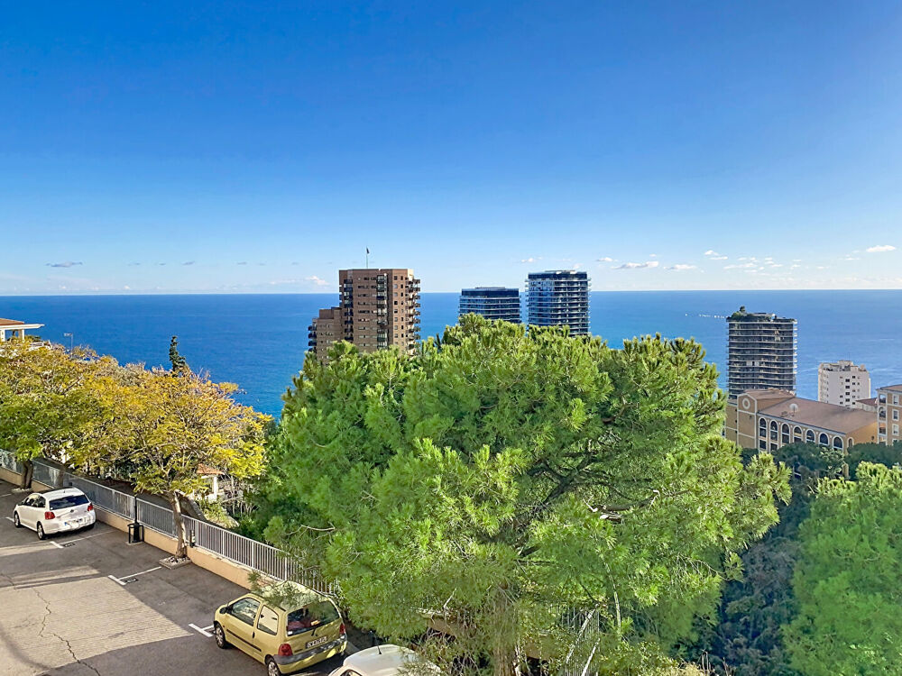 à vendre  Appartement Roquebrune-Cap-Martin (06190)