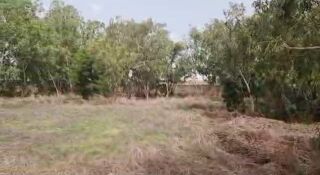  Terrain � vendre 1 m� Nguerigne