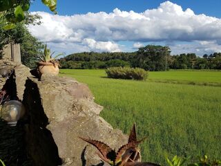  Villa � vendre 12 pi�ces 315 m�