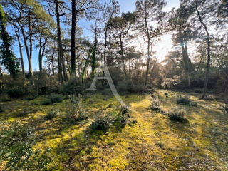  Terrain à vendre 4808 m²