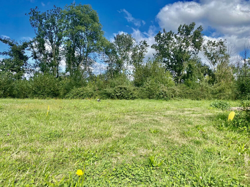 Vente Terrain Terrain à bâtir 1589 m² - 01190 PONT DE VAUX Pont de vaux
