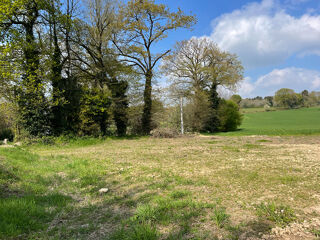  Terrain à vendre 1042 m²