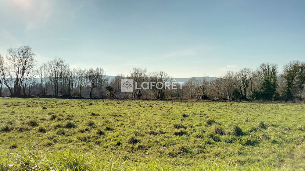 Vente Terrain Terrain Dineault 2381 m2 Dineault