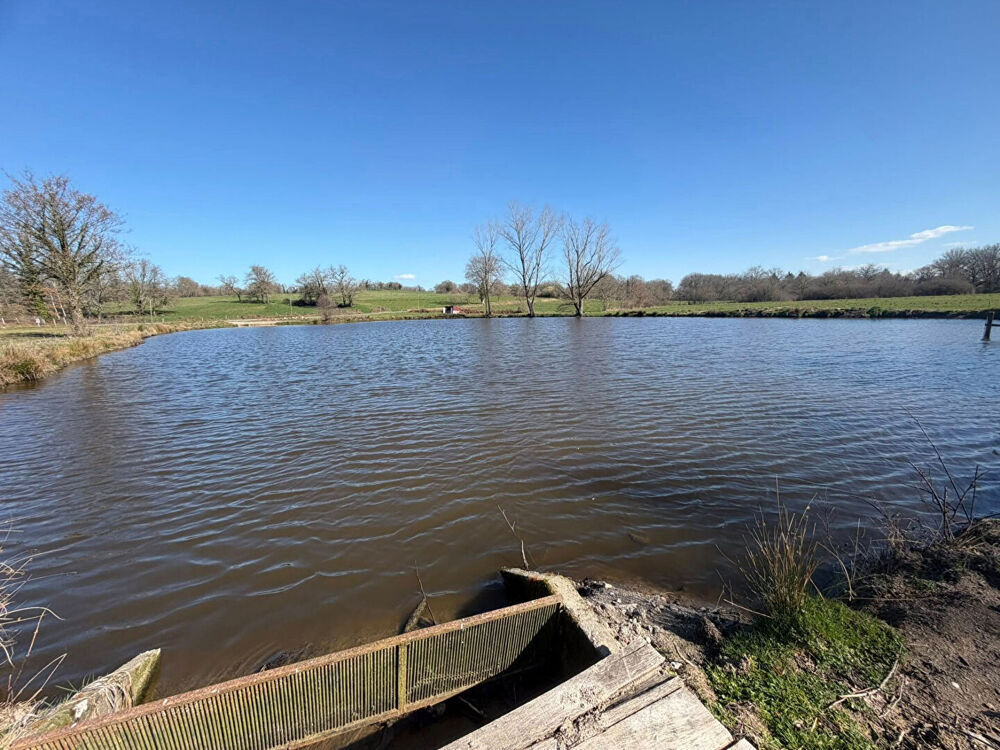 Vente Terrain HAUTE VIENNE - Etang Bessines Sur Gartempe Bessines sur gartempe
