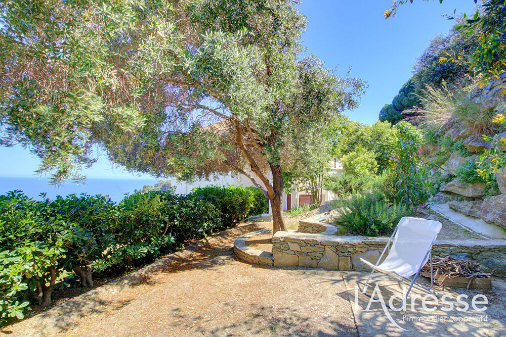 Vente Maison Maison BASTIA MONSERATO 6 pièces 180 m2 piscine studio indépendant Bastia