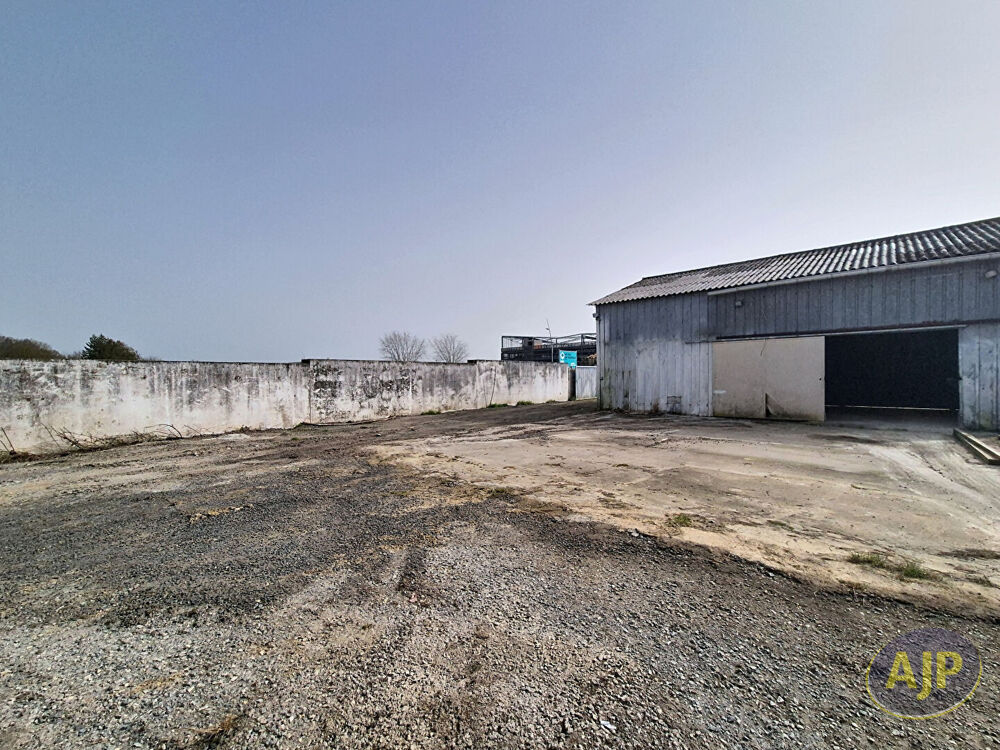   Local d'activité Montaigu Vendee 100 m2 Montaigu vendee