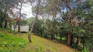  Terrain  vendre 2516 m