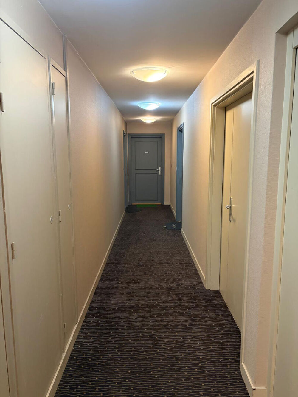 Vente Appartement Appartement Decines Charpieu 2 pièce(s) 34 m2 Decines charpieu