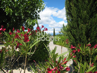  Maison � vendre 15 + pi�ces 300 m�