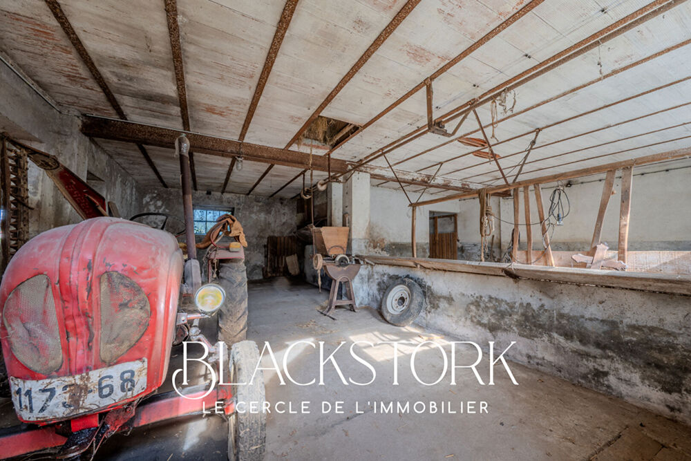 Vente Maison Grande à rénover Biesheim 5 pièce(s) 250 m2 Biesheim