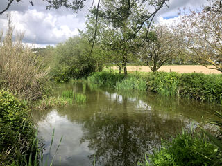  Terrain � vendre 5292 m�