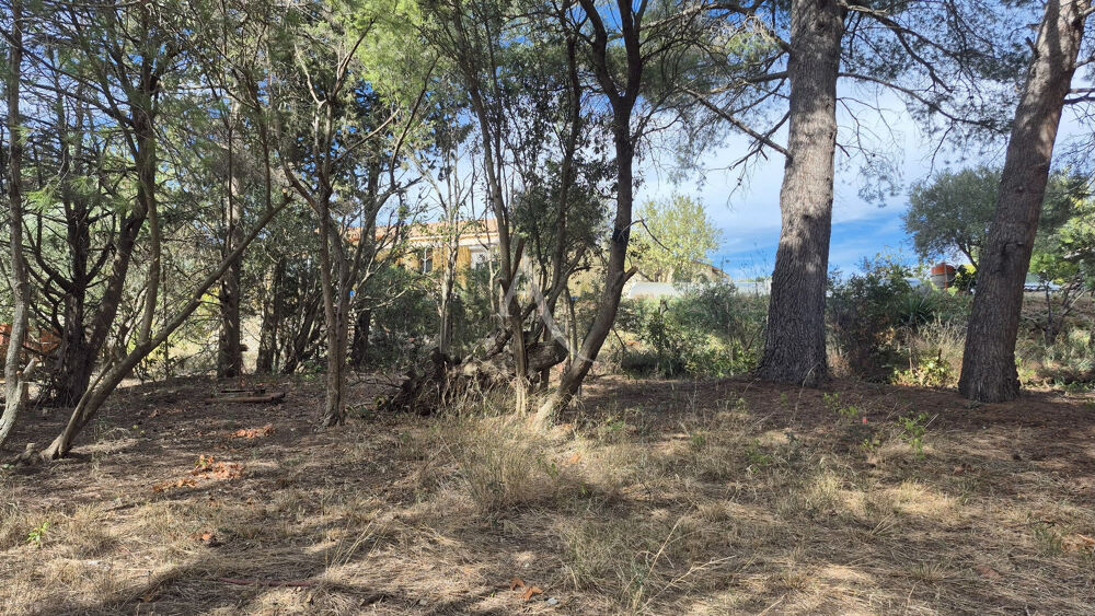 Vente Terrain Terrain Ouveillan 842 m2 arboré et vue agréable Ouveillan