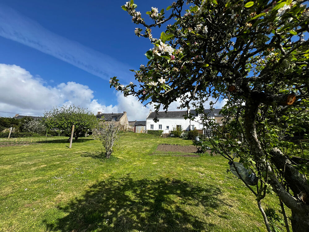 � vendre  Maison Sarzeau (56370)