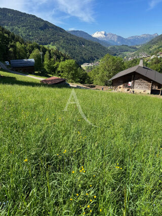  Terrain 4000 m² Le grand bornand