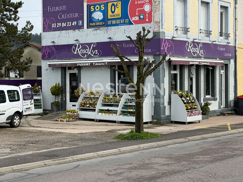 Fonds de Commerce/Fleuriste/Verdun 55000 55100 Verdun