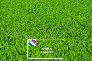  Terrain à vendre 7425 m²