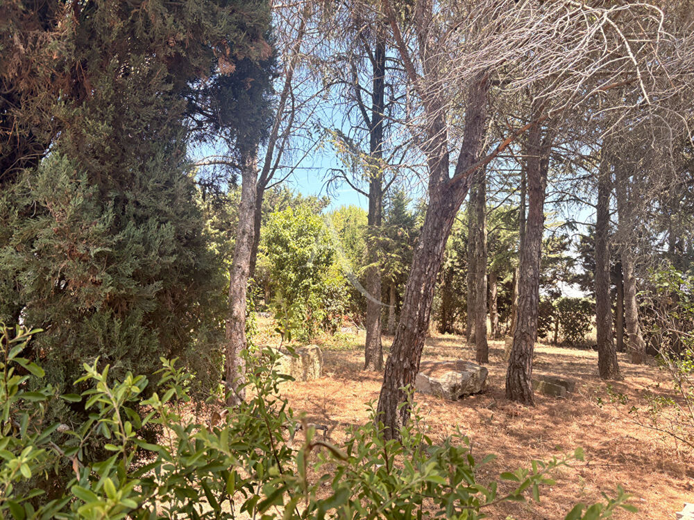 Vente Terrain Terrain Villegailhenc 838 m2 Villegailhenc